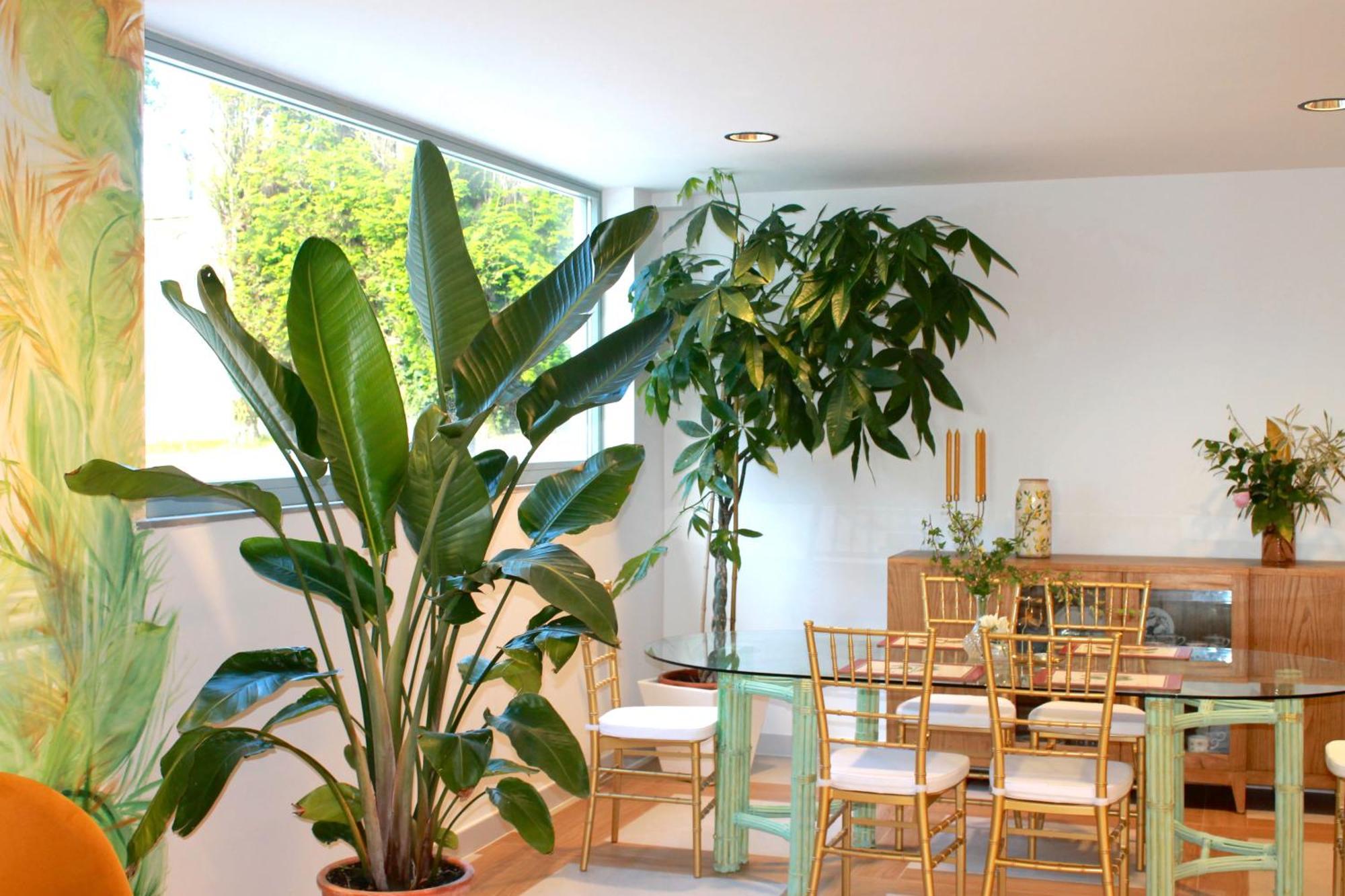 Hotel Boutique Villa Del Marques Muros de Nalón Εξωτερικό φωτογραφία